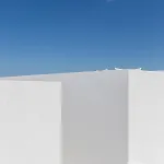 Neo *
